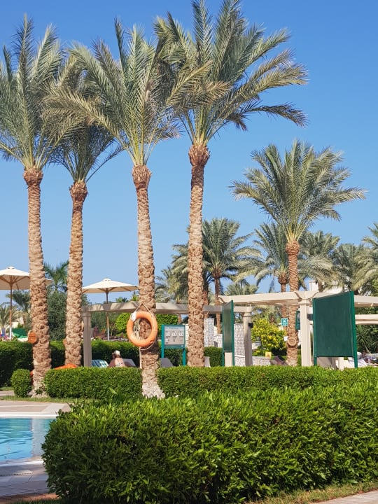 Gartenanlage Hotel JAZ Makadi Star & Spa