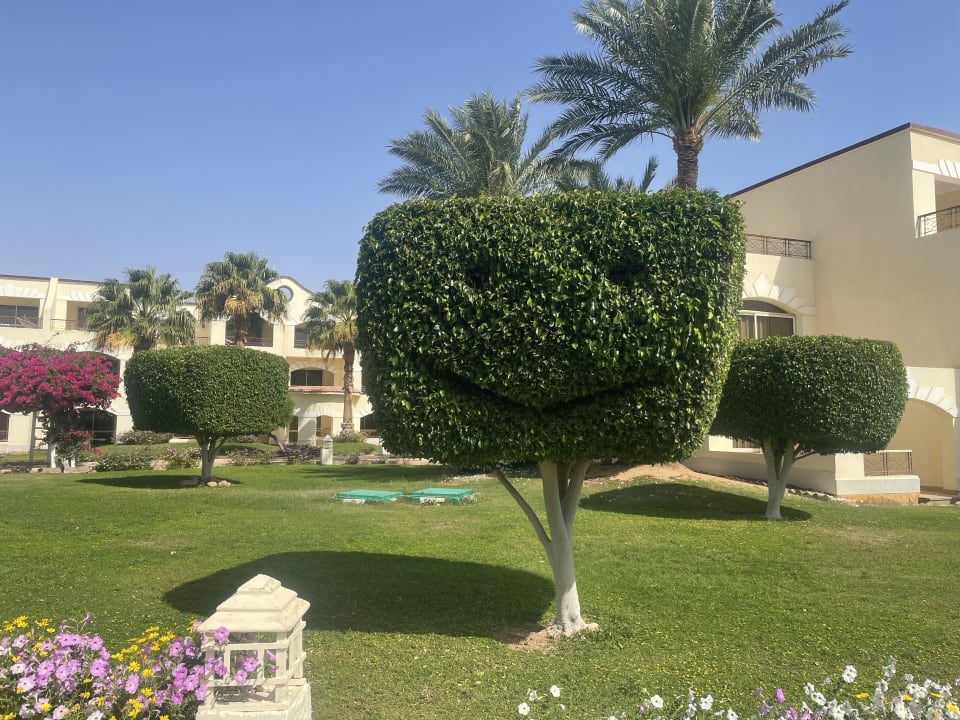 Gartenanlage Regency Plaza Aqua Park & Spa