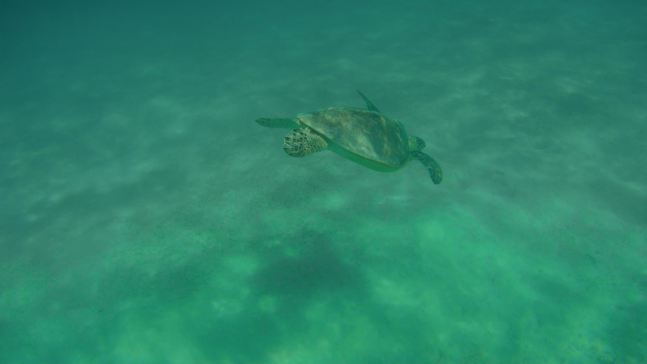 Sport & Freizeit Hotel Gorgonia Beach Resort