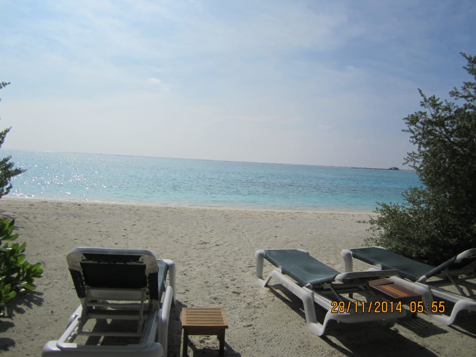 Direkt vom Bungalow 10 Meter enfernt die Liegen Meeru Maldives Resort Island