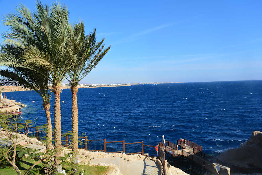 See The Grand Hotel Sharm El Sheikh