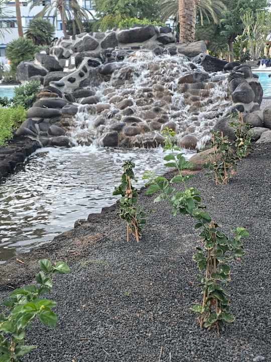 Gartenanlage Seaside Los Jameos Playa