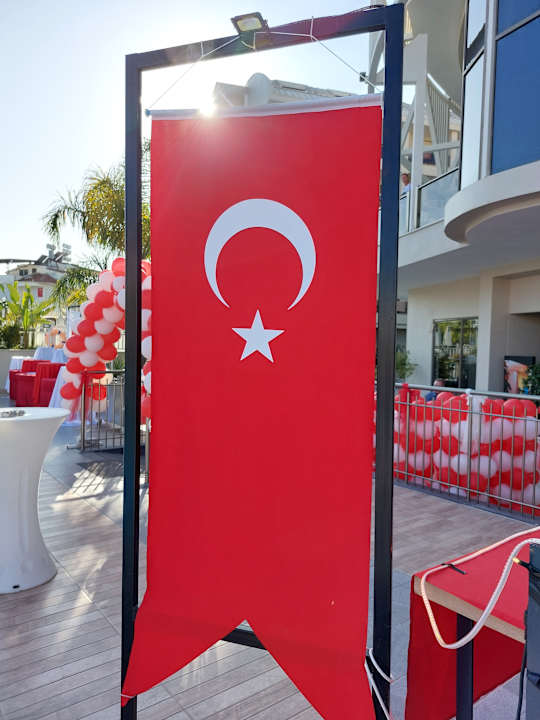 Sonstiges Seashell Vega