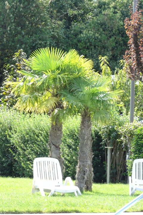 Gartenanlage Ambassador Suite Hotel