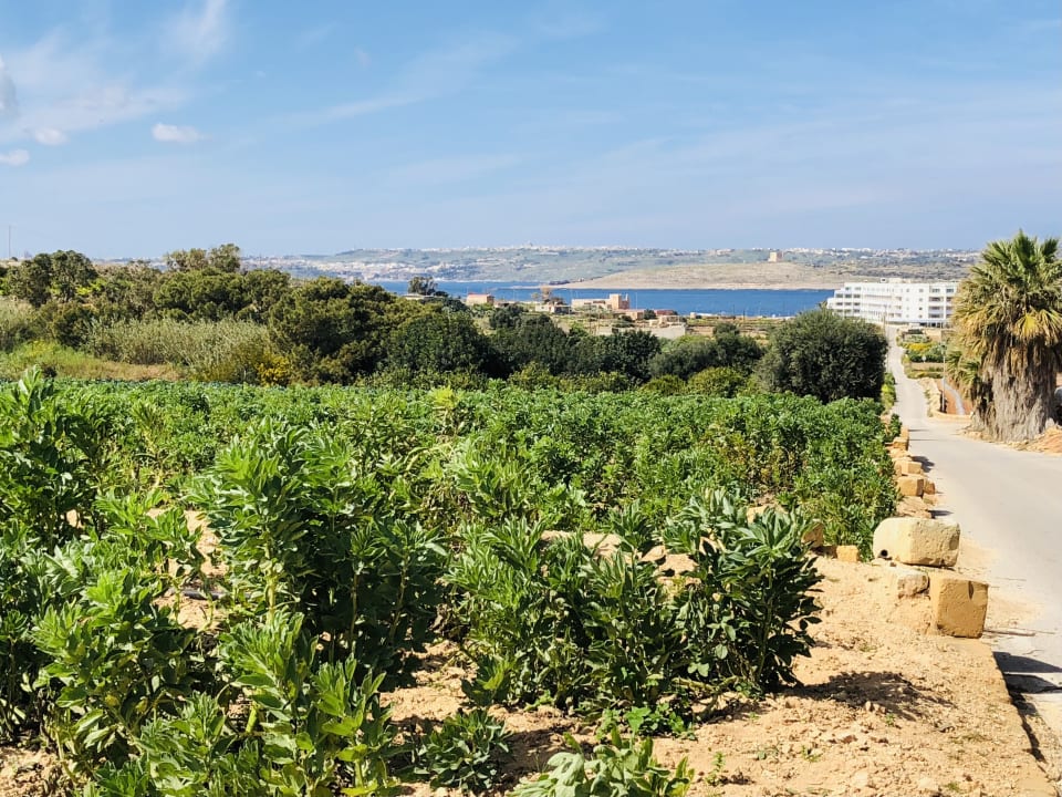 Gartenanlage Riviera Spa Resort - Adults Only