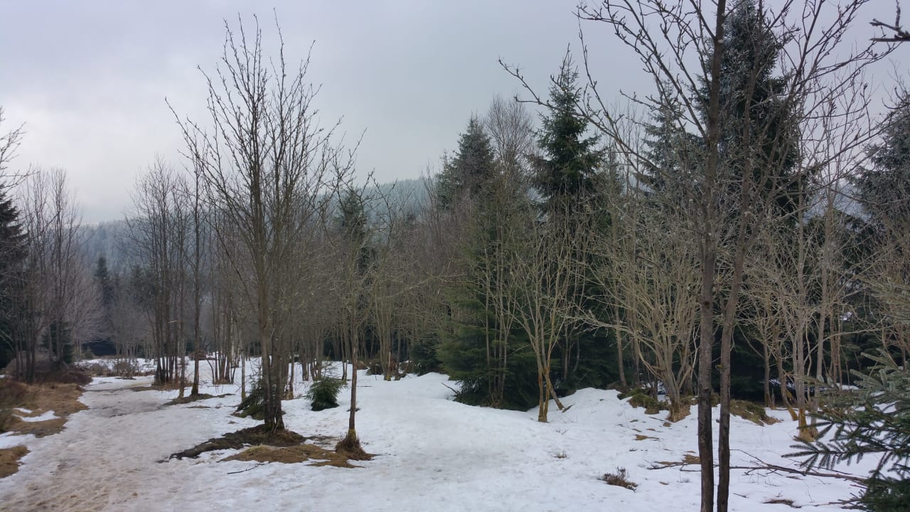 Direkt an dem Hotel Torfhaus Harzresort