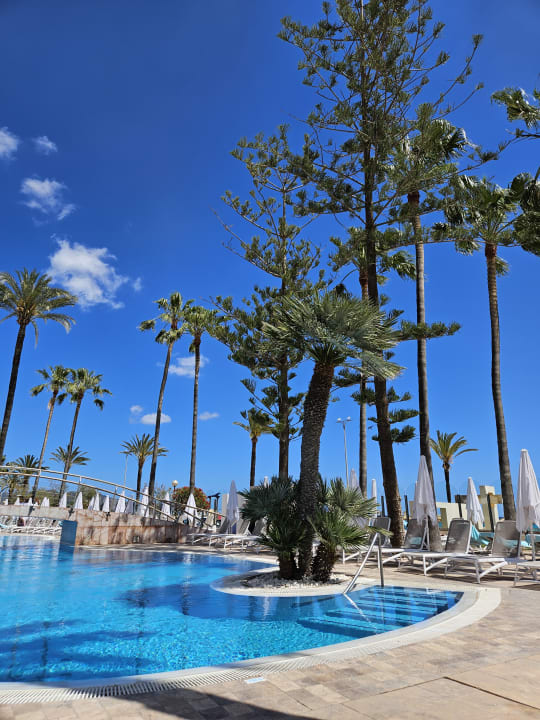 Pool CM Playa del Moro