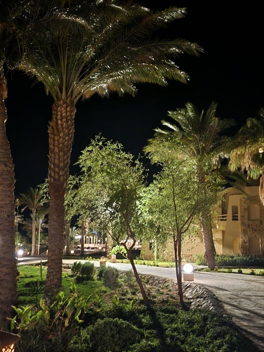 Gartenanlage Shams Alam Beach Resort