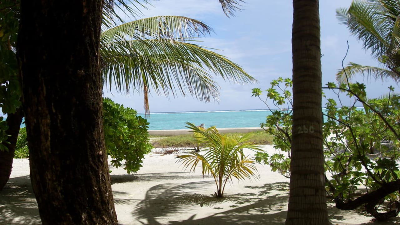 Blick zum Strand Summer Island Maldives