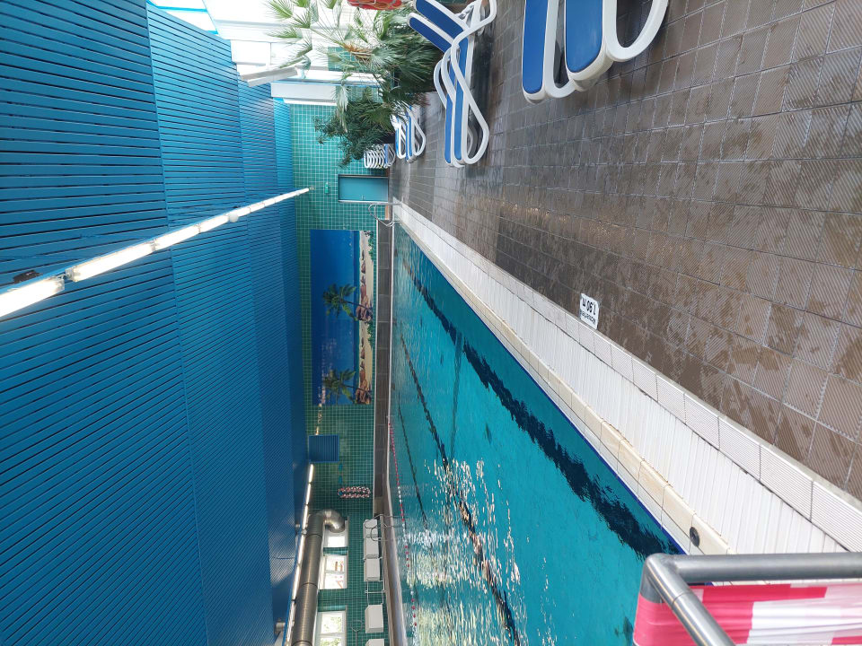 Pool AHORN Berghotel Friedrichroda