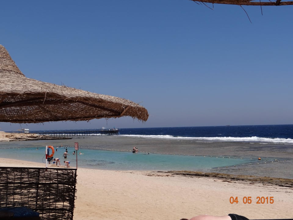 Schwimmen entlang den Koralrif Akassia Swiss Resort