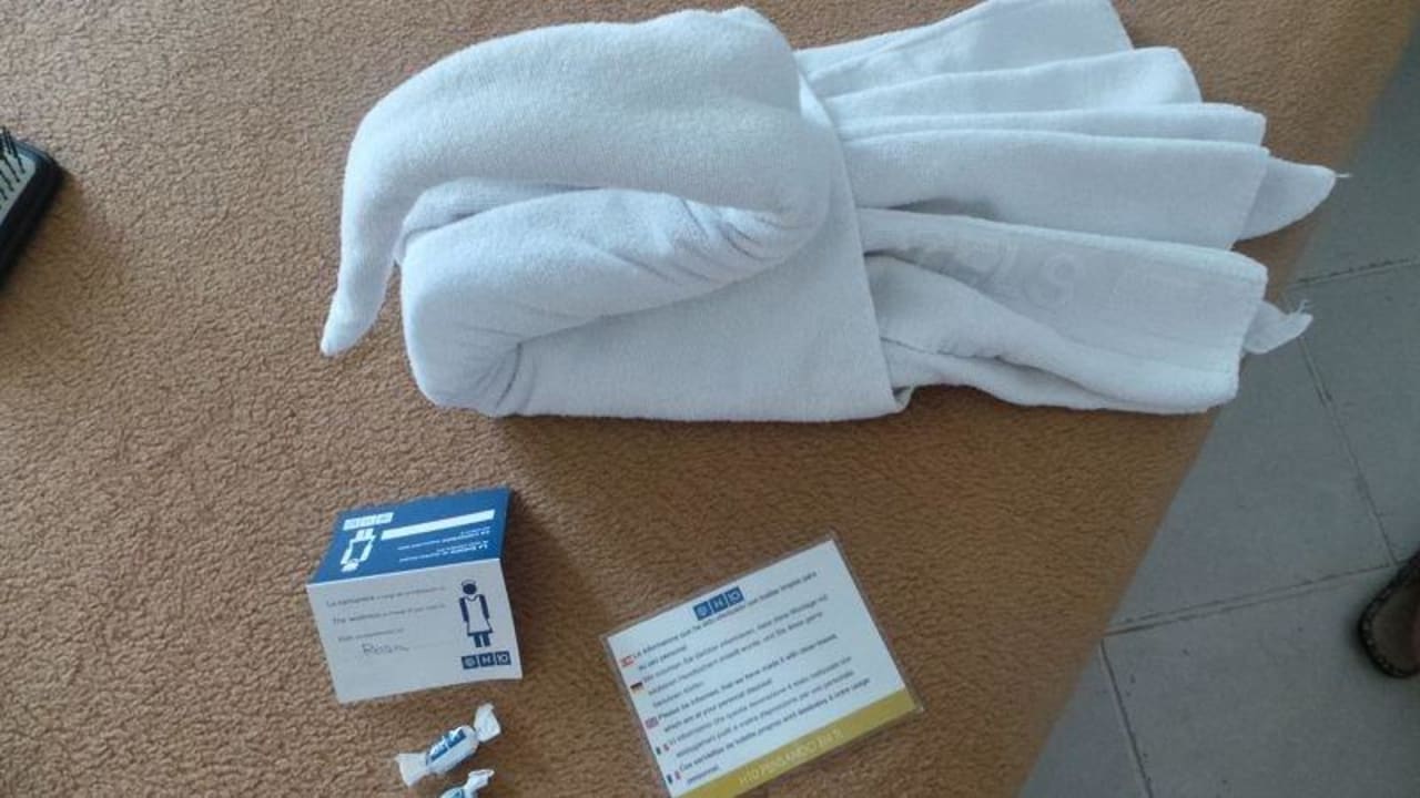 Handtuchschwan H10 Tindaya