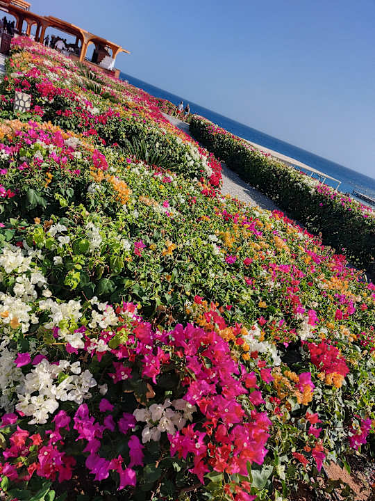 Gartenanlage Sirena Beach Resort & Spa