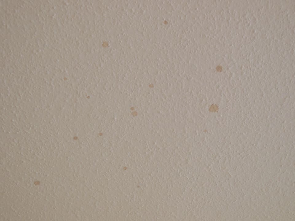 Flecken an Zimmerdecke  Leonardo Hotel Nürnberg