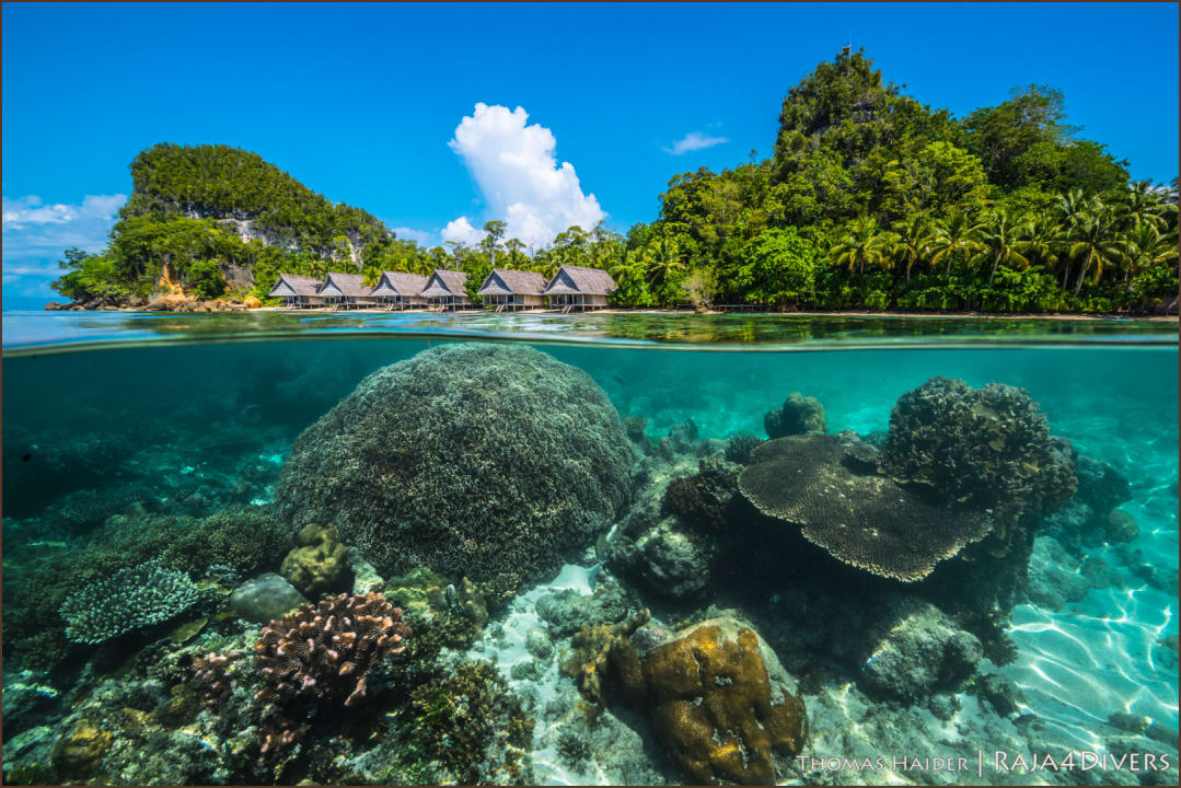 Außenansicht Raja4divers Resort