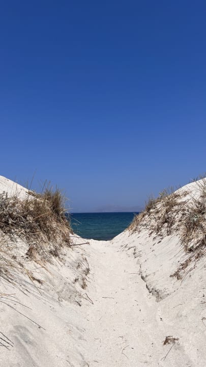 Strand Paralos Kyma Dunes