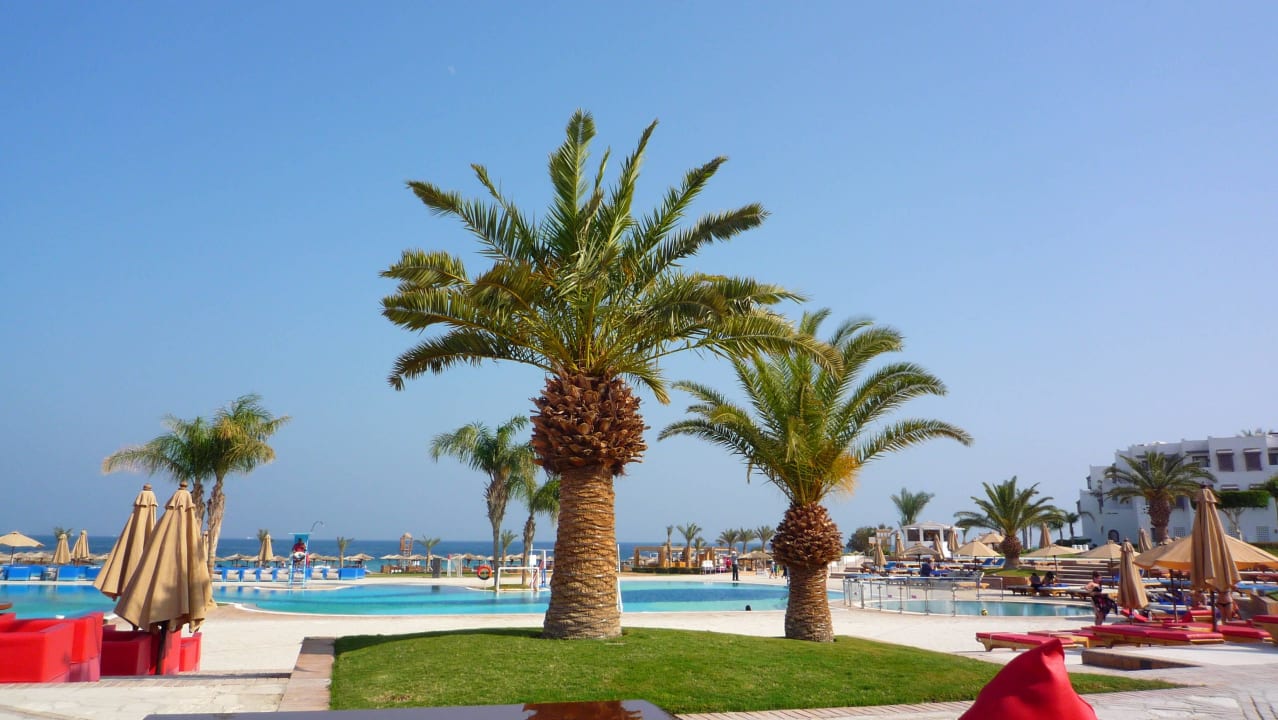 Piscine Hotel Mercure Hurghada