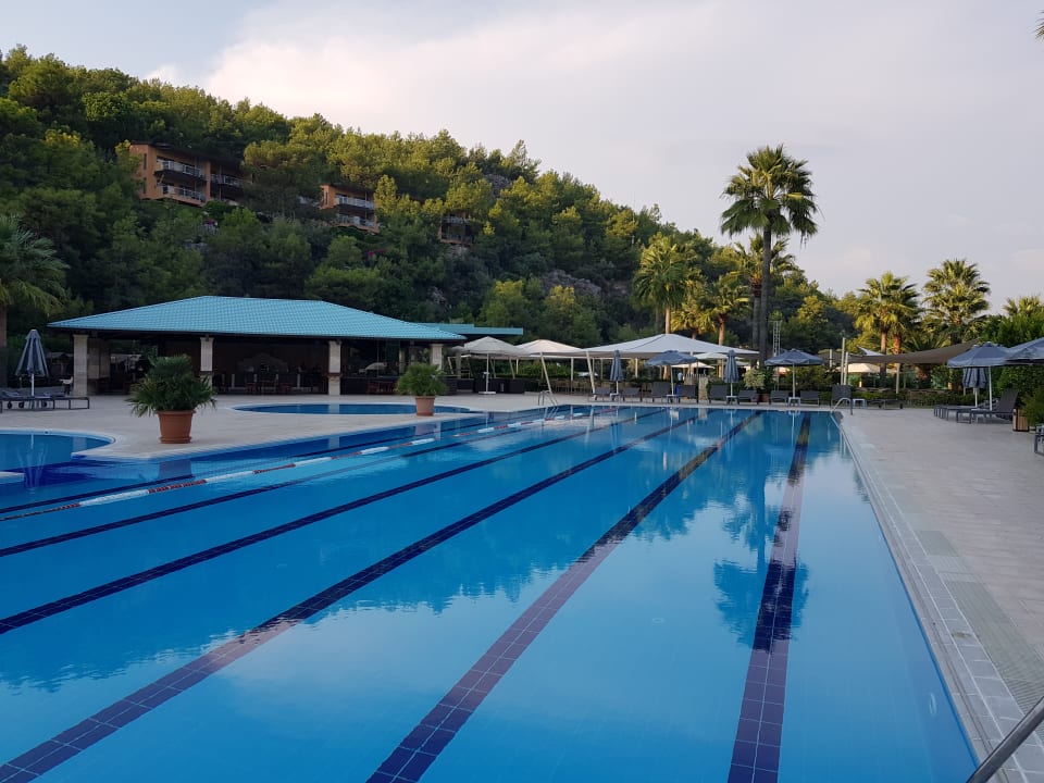 Pool ROBINSON SARIGERME PARK