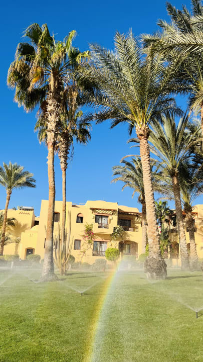 Gartenanlage Steigenberger Coraya Beach - Adults only