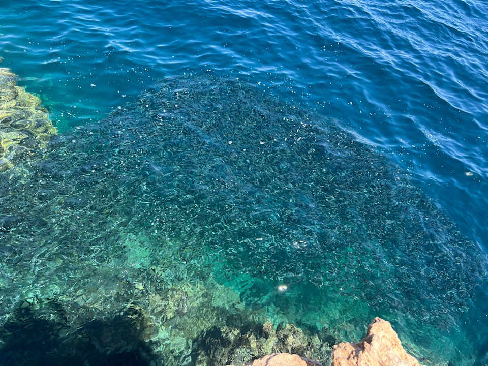 Ausblick Stella Beach Resort & Spa Makadi Bay