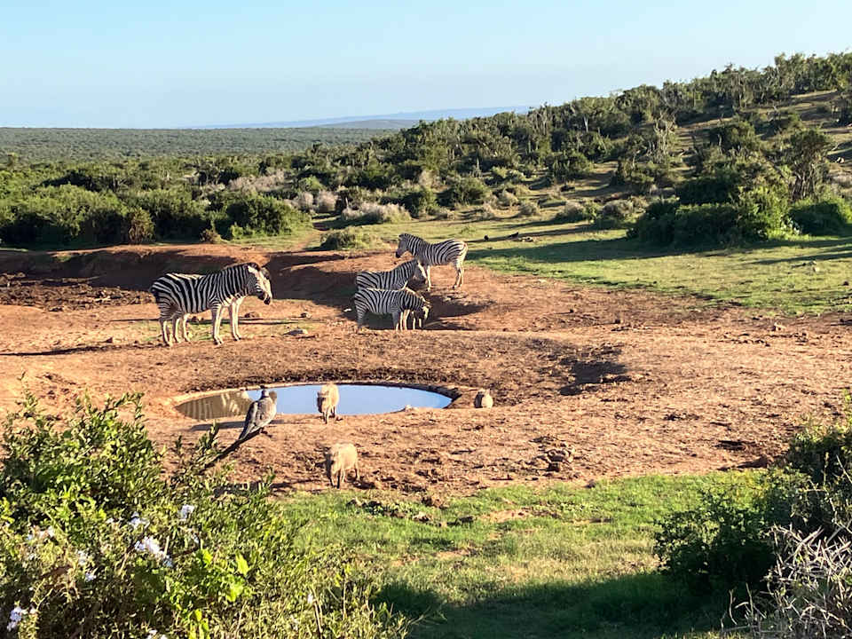 Sonstiges Addo Elephant Rest Camp