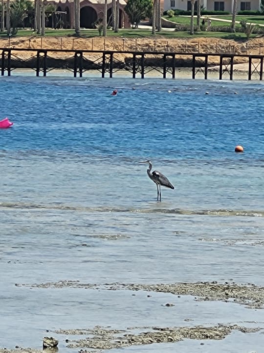 Strand Brayka Bay Resort