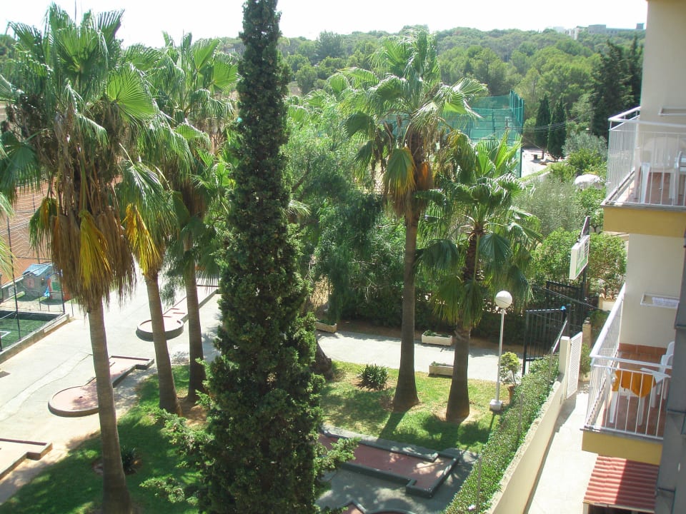 Schöner Blick Hotel Don Miguel