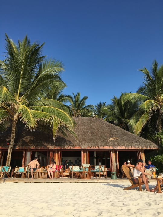 Strandbar  Summer Island Maldives