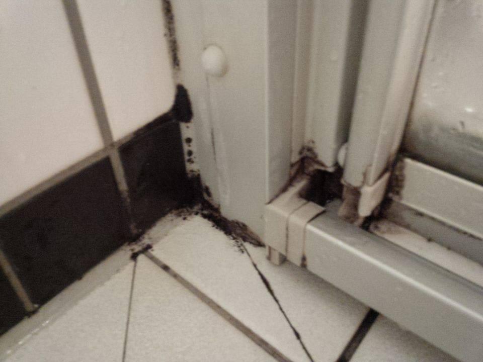 Dusche Park Plaza Vienna House Easy Berlin