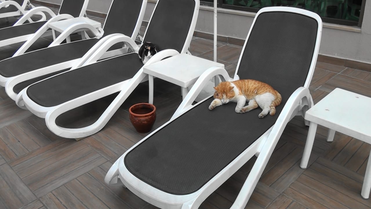 Sonstiges Aydinbey Kings Palace & Spa