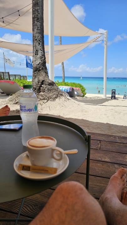 Sonstiges Catalonia Royal La Romana - Adults only