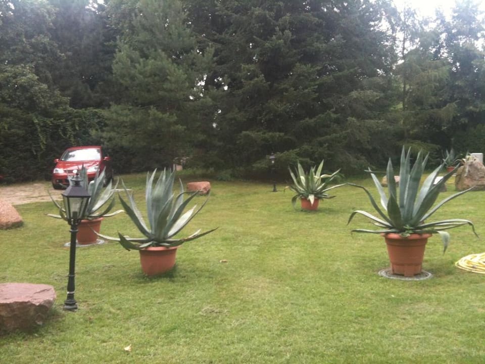 Garten Hotel Seeschlösschen