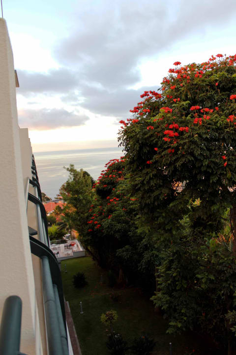 Widok z pokoju Hotel Madeira Panoramico