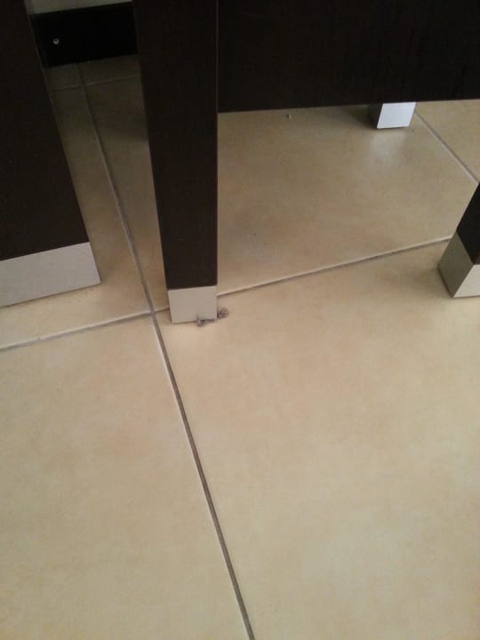 Sauberkeit im Zimmer nach der Reinigung Hotel Orfeus Park