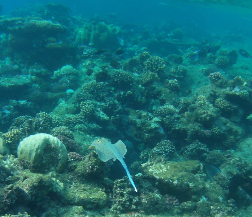 Strand Casa Mare Resort