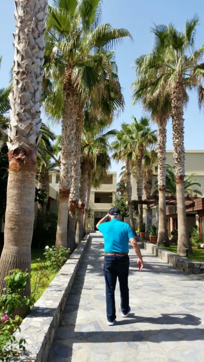 Gartenanlage allsun Hotel Malia Beach