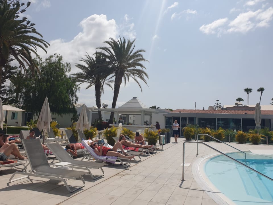 Pool Canary Garden Club