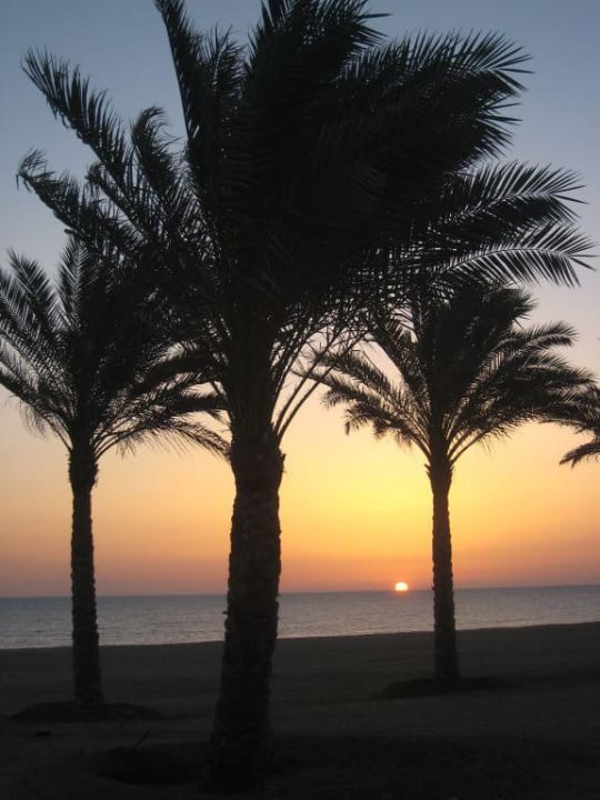 Sonnenaufgang vor unserem Zimmer Steigenberger Coraya Beach - Adults only