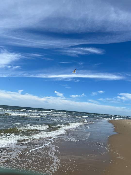 Strand Dormio Villapark Duynzicht
