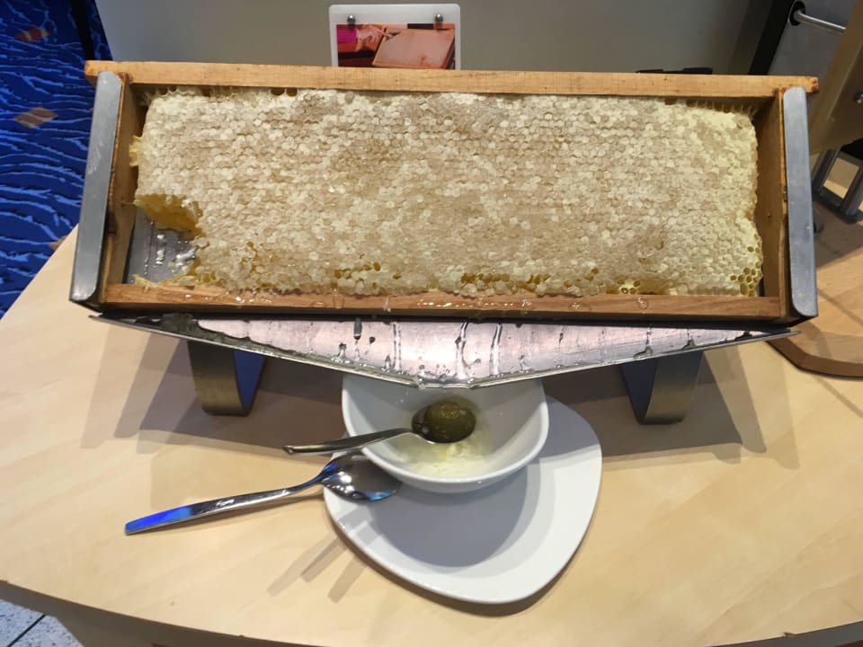 Frischer gehts nicht! Hilton Frankfurt City Centre