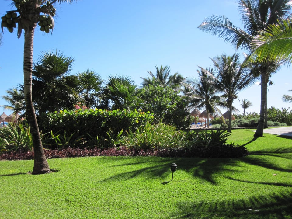 Garten Bahia Principe Grand Tulum