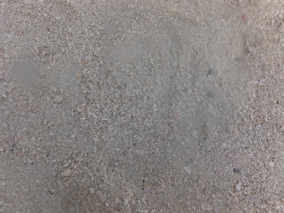 Der grobe Muschelsand Rixos Bab Al Bahr