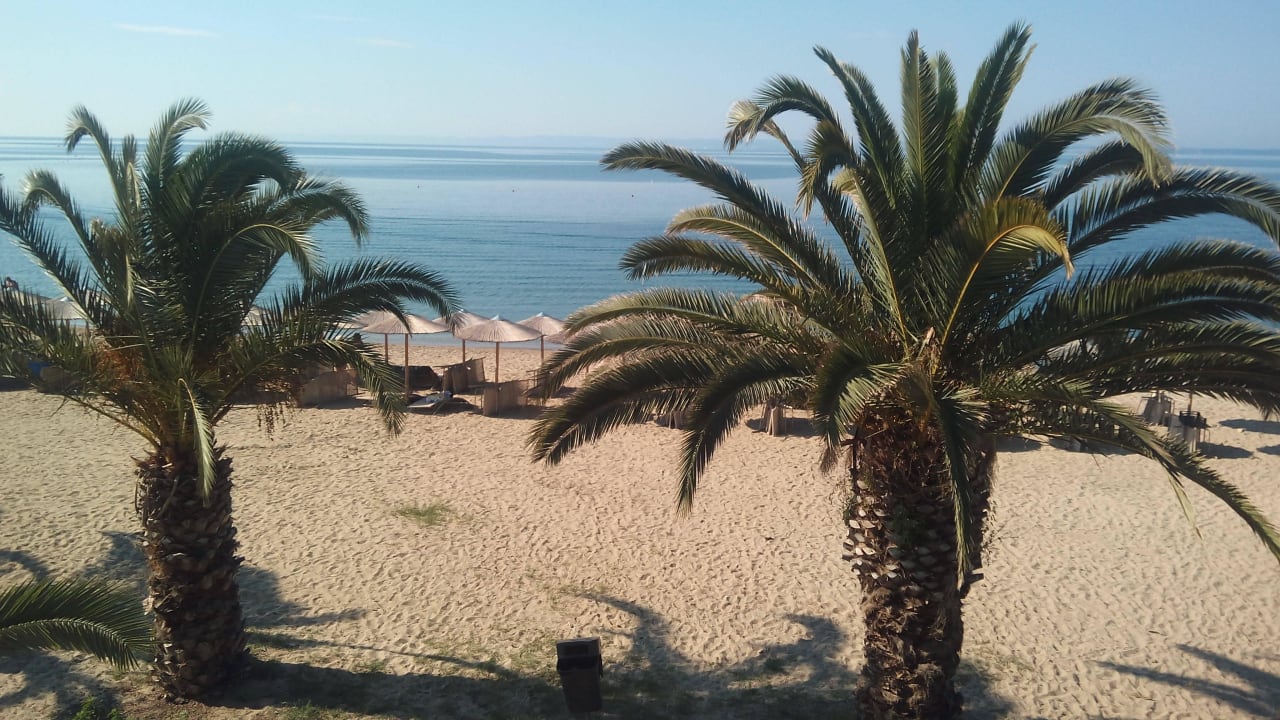 Ausblick auf den Strand vorm Olympion Beach! Hotel Olympion Beach