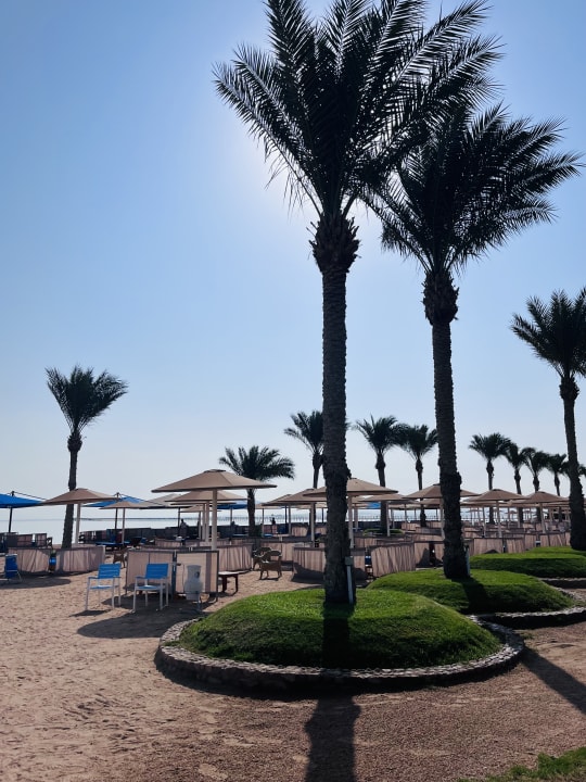 Strand Pickalbatros Royal Moderna Resort-Sharm El Sheikh