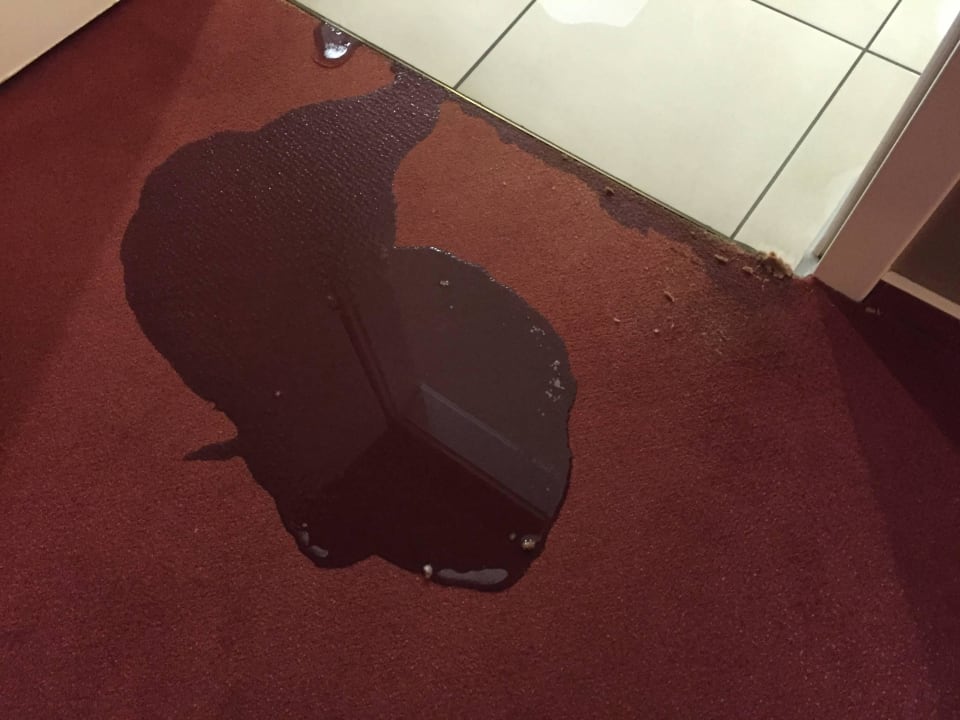 Das passiert beim Duschen Hotel Wyndham Garden Quedlinburg Stadtschloss