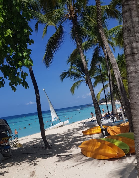 Strand Hotel Viva Dominicus Beach by Wyndham - All Inclusive Resort