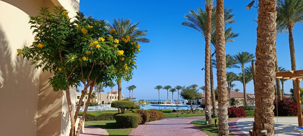 Ausblick Cleopatra Luxury Resort Makadi Bay