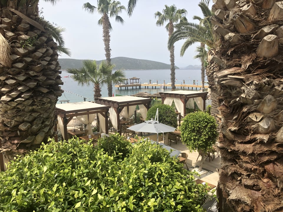 Ausblick TUI MAGIC LIFE Bodrum - Adult Only (16+)