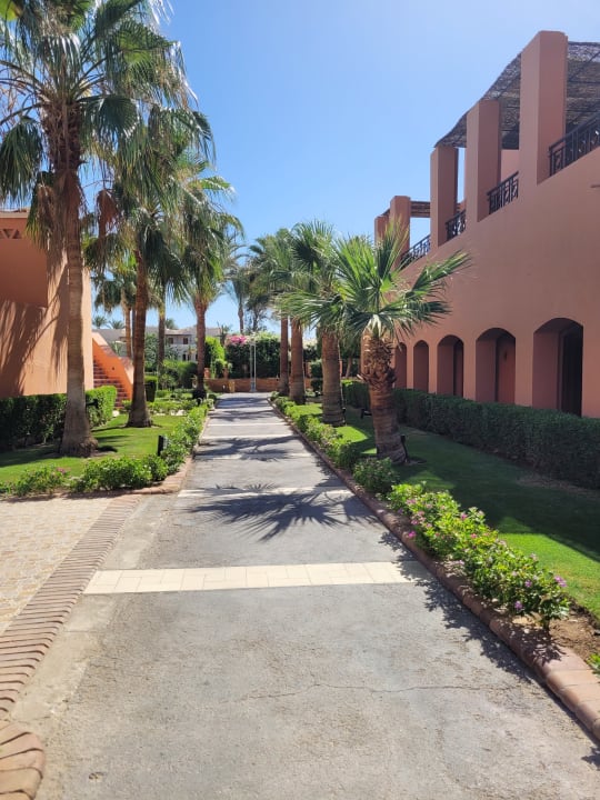 Gartenanlage Jaz Makadi Oasis Resort