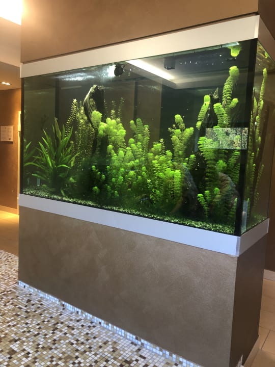 Sonstiges Marienhöh